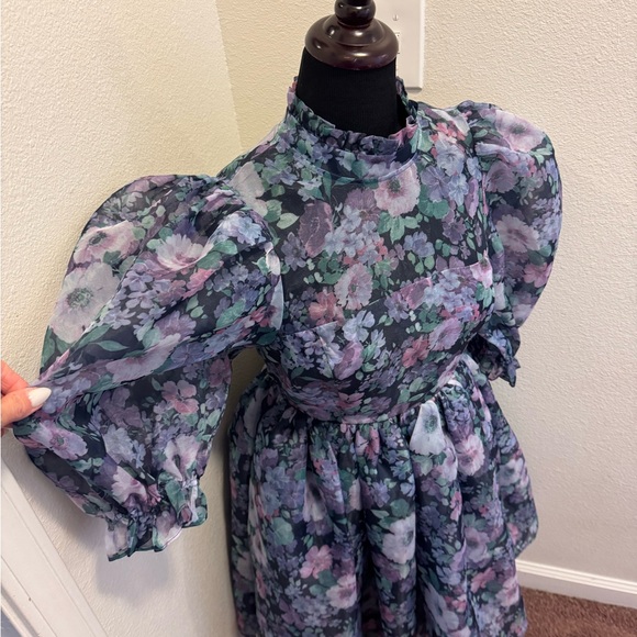 Selkie The Nirvana Royal Puff Sleeve Dress Fit Flare Chiffon Secret Garden M NEW - Picture 4 of 13